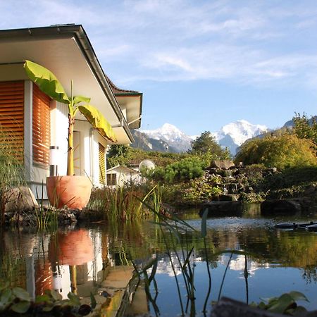 Adventure Guesthouse Interlaken Unterseen Zewnętrze zdjęcie