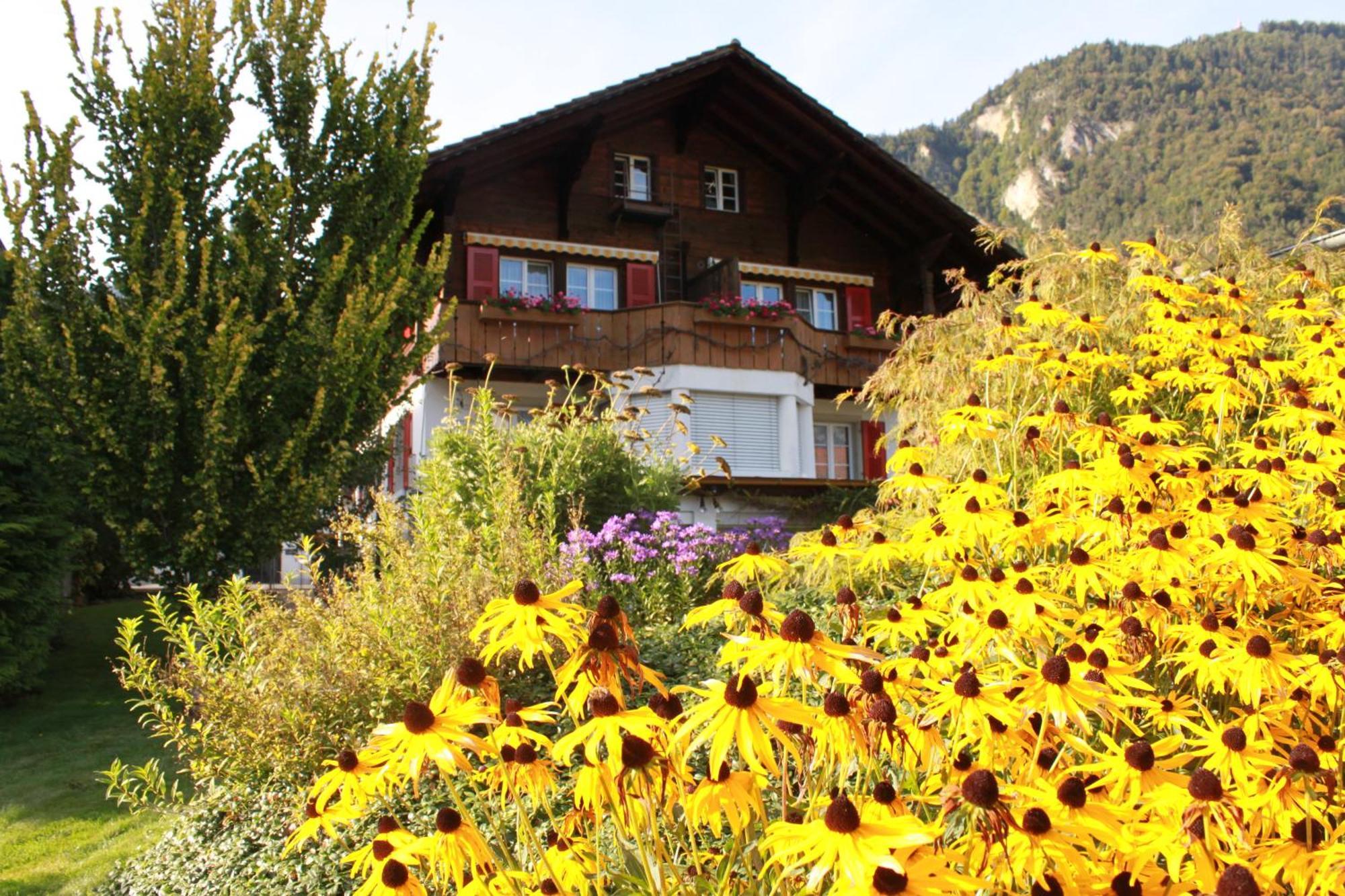 Adventure Guesthouse Interlaken Unterseen Zewnętrze zdjęcie
